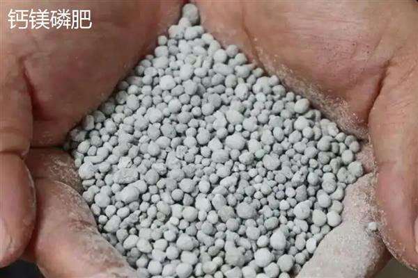 过磷酸钙是什么肥料，又称普通过磷酸钙