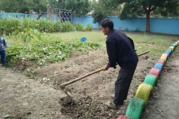 哈密瓜如何防虫,农业防治和化学防治相结合