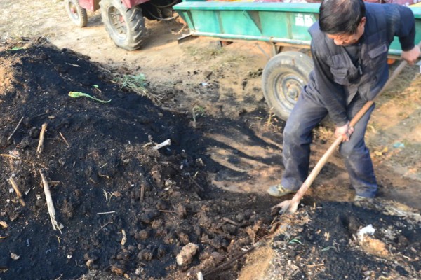 哈密瓜如何防虫,农业防治和化学防治相结合