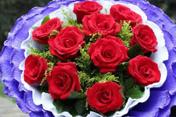 十二朵玫瑰有什么花语，代表心心相印、爱你每一天等含义