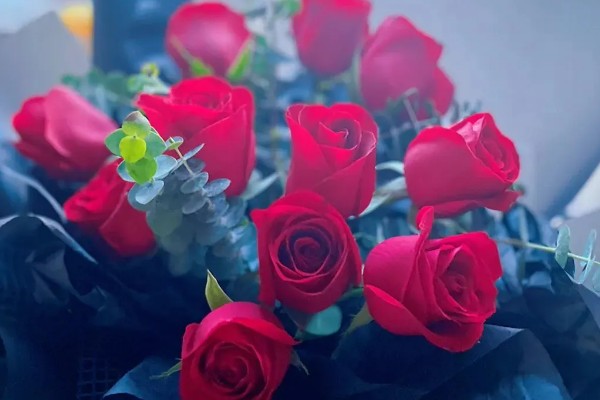 十二朵玫瑰有什么花语，代表心心相印、爱你每一天等含义