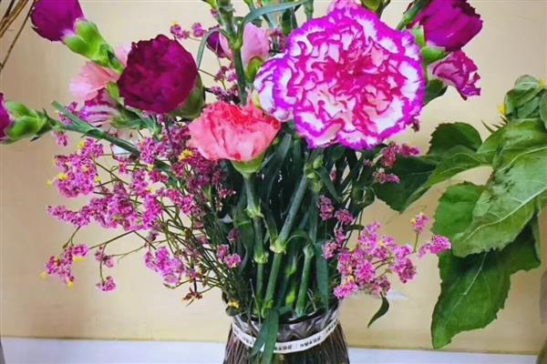 康乃馨可以水养吗，康乃馨可以水养