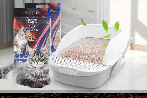 怎么清除猫的尿骚味,根据发生原因采取对应措施