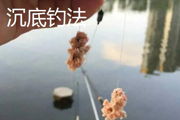 钓草鱼怎么打窝，常规打窝是将麦粒等窝料直接投放到钓点
