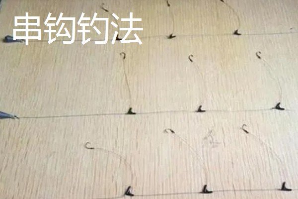钓草鱼怎么打窝，常规打窝是将麦粒等窝料直接投放到钓点