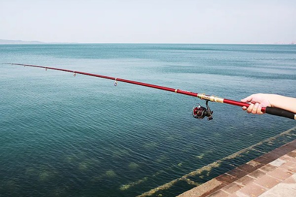 钓草鱼怎么打窝，常规打窝是将麦粒等窝料直接投放到钓点