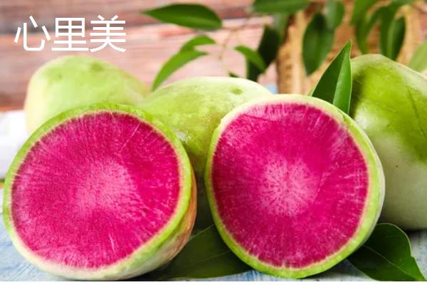 哪些夏萝卜品种很耐热，新济杂2号、伏抗等品种耐热能力强