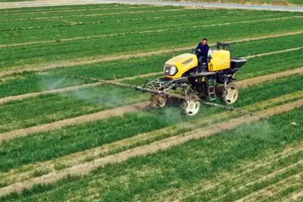 小麦灌浆期怎么管理，浇灌浆水有利于植株生长