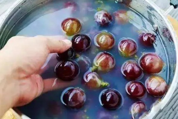 水果打药过多久才能食用，一般经过7-15天就没有残留