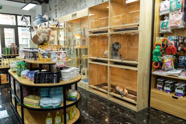 现在开宠物店可以赚钱吗，经营得当可以赚钱