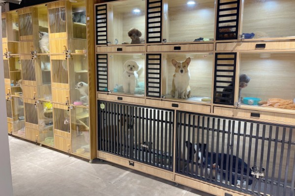 现在开宠物店可以赚钱吗，经营得当可以赚钱