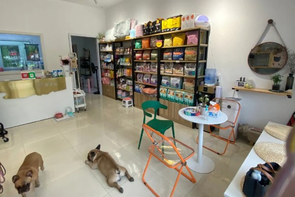 现在开宠物店可以赚钱吗，经营得当可以赚钱