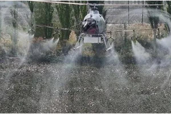 棉多收什么时候使用，苗期、现蕾期、结铃期均可喷施