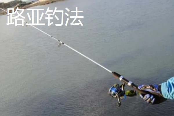 七星鱼的简介,学名叫做月鳢