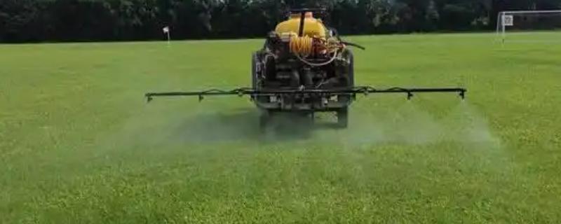 草坪的施肥方法，均匀撒施复合肥等肥料