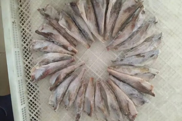 冷冻雷鱼没有头的原因，食用价值不高且不易处理