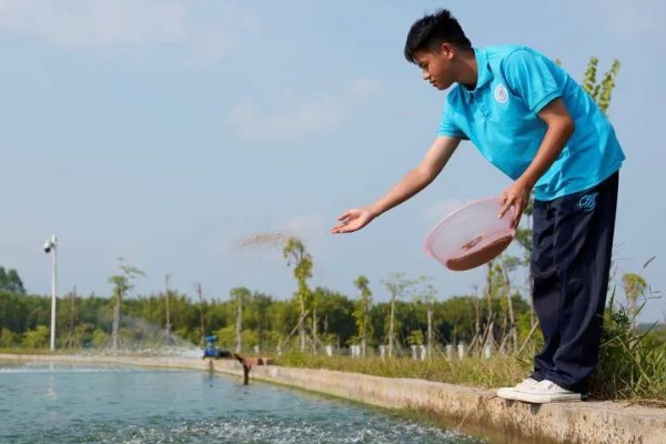 基围虾的养殖要求，要求pH值在7.0-8.0