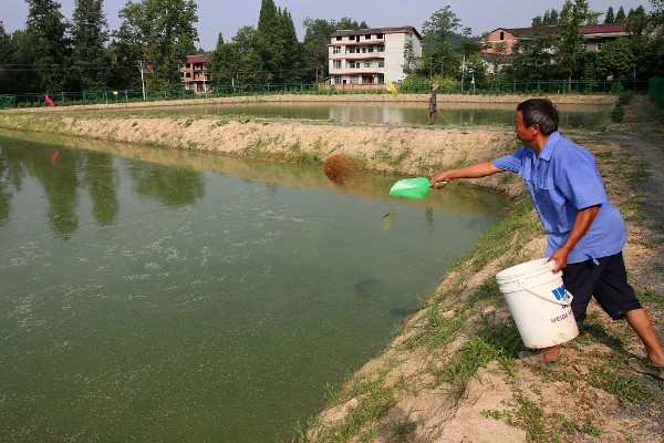 基围虾的养殖要求，要求pH值在7.0-8.0
