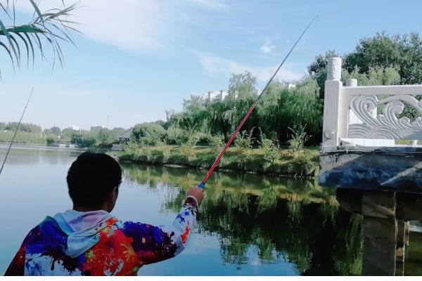 怎么有效垂钓鲢鳙，选择溶氧含量高的水域