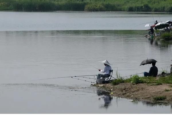 怎么有效垂钓鲢鳙，选择溶氧含量高的水域
