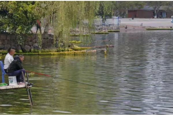 怎么有效垂钓鲢鳙，选择溶氧含量高的水域