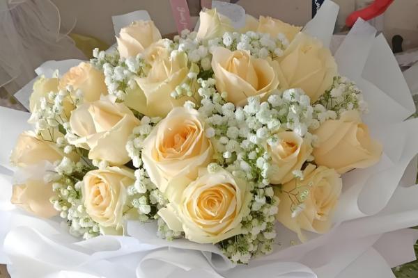 18朵玫瑰的含义，代表真诚、坦白、爱情