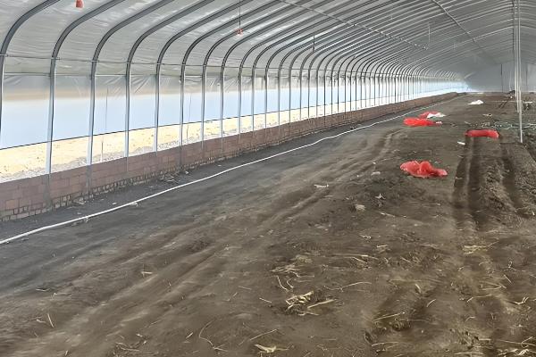 毛驴的养殖技术，喂食的食物要以糊状物为主