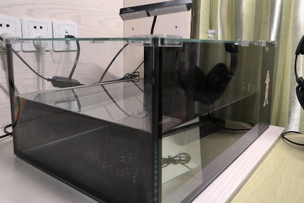 观赏鱼白点病的发生原因，一般是小瓜虫造成