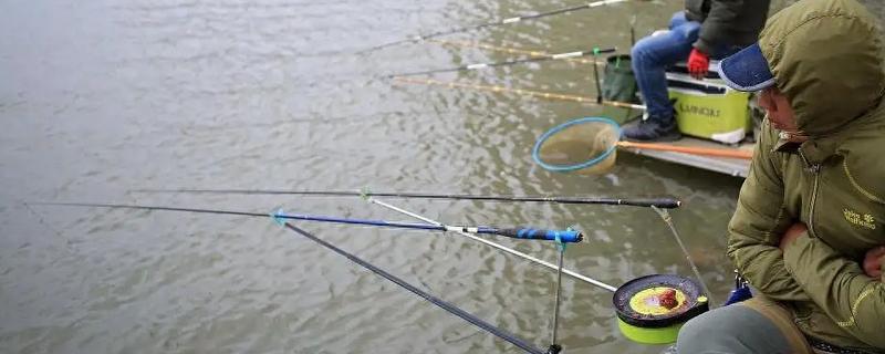 冬季适合在早上还是晚上钓鱼，晴天中午是最佳时间