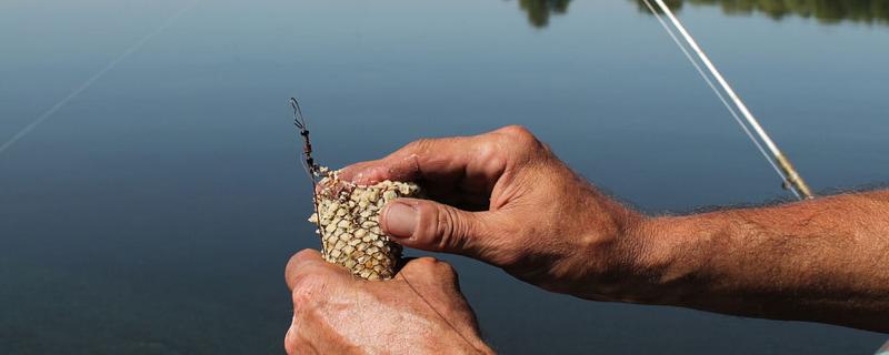钓鱼一定要打窝吗，也可以选择不打窝