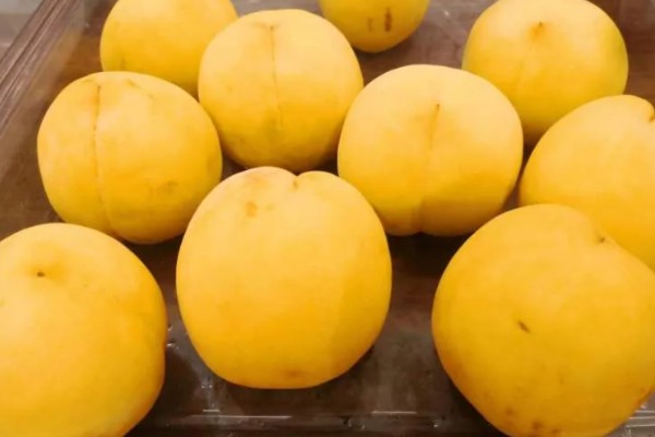黄桃如何挑选,可以看产地、大小等
