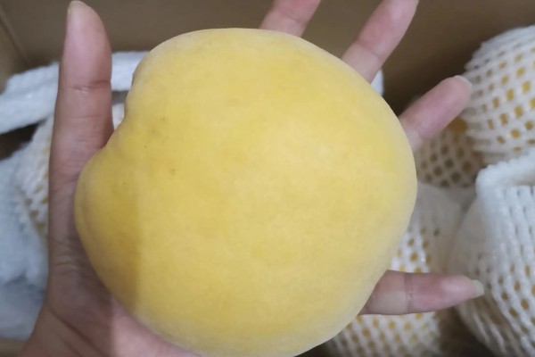 黄桃如何挑选,可以看产地、大小等