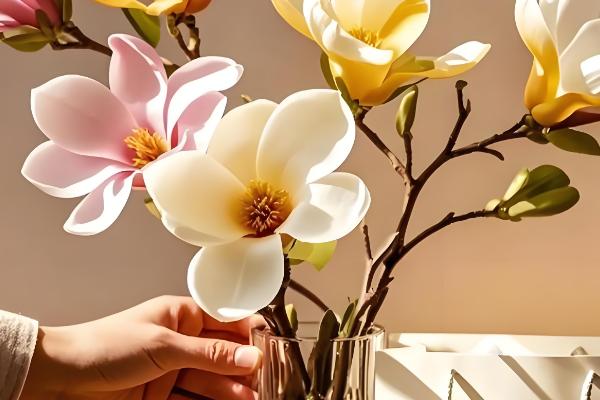 冬季玉兰枝条泡水可以开花吗，能开花