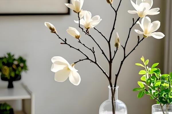 冬季玉兰枝条泡水可以开花吗，能开花