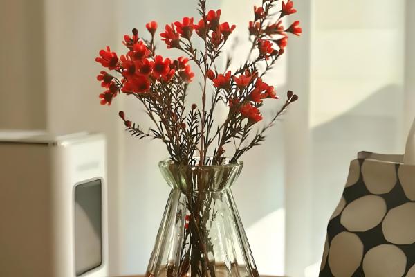 腊梅要醒花吗，腊梅需要醒花