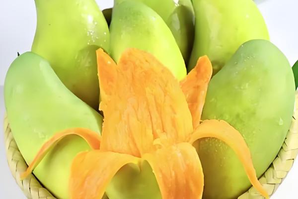 芒果的品种，以下17个品种很常见