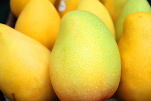 芒果的品种，以下17个品种很常见