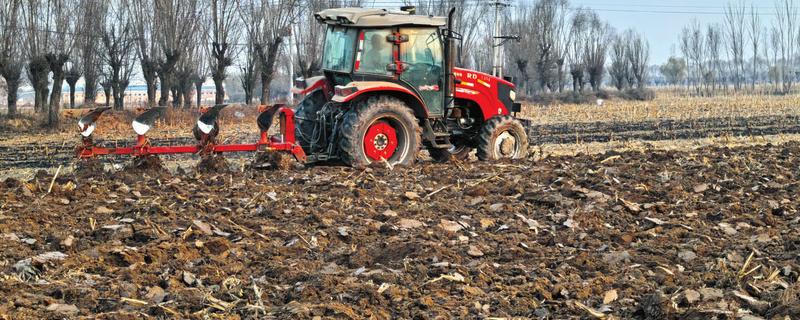 整地要注意什么，田洼地和粘土地适合秋翻