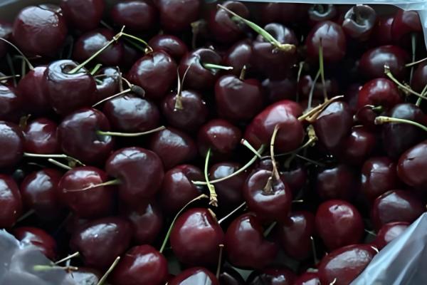 车厘子的等级，分为四个等级