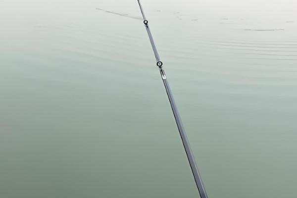 路亚活饵泥鳅钓法技巧，建议最好是用路亚竿