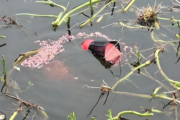 钓鱼一定要打窝吗,也可以选择不打窝