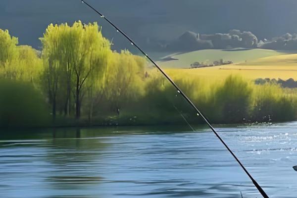 冬季适合在早上还是晚上钓鱼，晴天中午是最佳时间