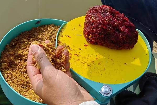 冬季适合在早上还是晚上钓鱼，晴天中午是最佳时间