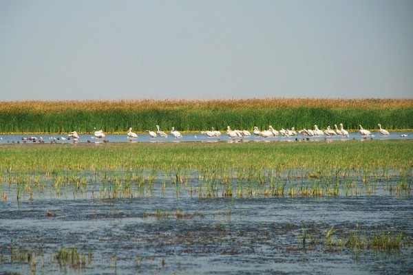 七里海大闸蟹的产地，是天津市宁河区特产
