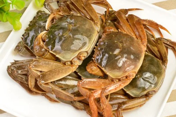 七里海大闸蟹的产地，是天津市宁河区特产