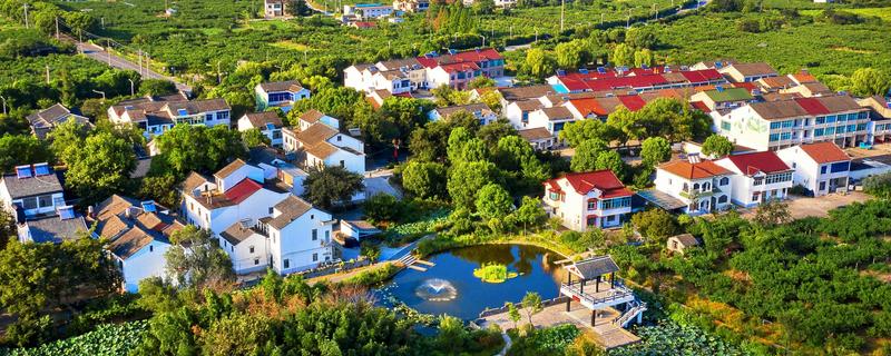 申请全国农村创新创业优秀带头人的条件，在农村新产业等发展上取得突出成绩