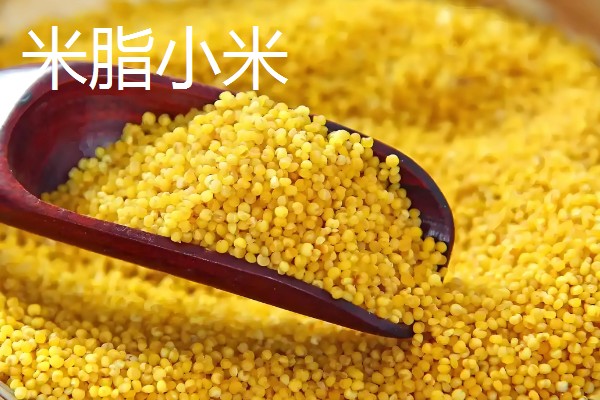 陕西榆林的特产，佳县油枣享誉国内市场