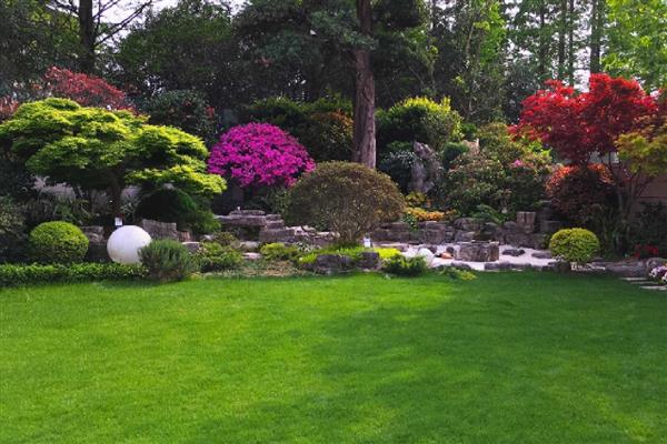 草坪的施肥方法，均匀撒施复合肥等肥料