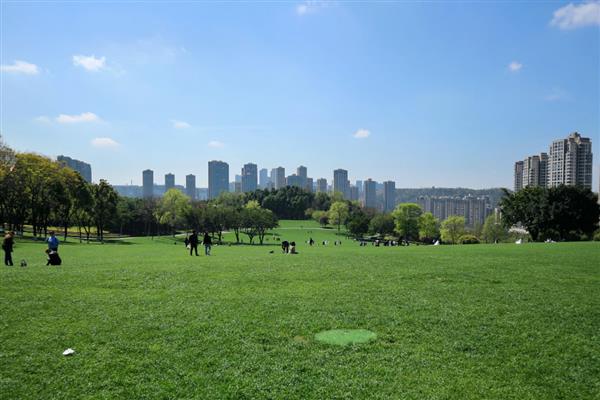 草坪的施肥方法，均匀撒施复合肥等肥料