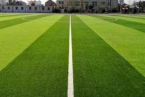 草坪的施肥方法，均匀撒施复合肥等肥料